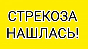 ДОМОСЕР, ты в шоке?!
