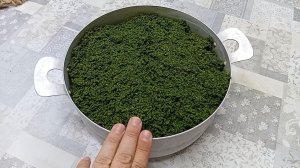 Ферментация иван-чая (кипрея). Иван-чай через мясорубку.