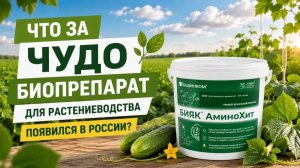 Мы идём к вам! Аминохит творит чудеса с растениями. Всё для урожая и качества!
