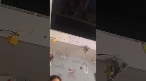 1000010330.mp4