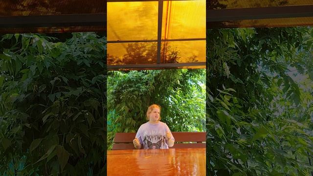 про сходку смотреть онлайн