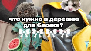 ЧТО НУЖНО В ДЕРЕВНЮ ДЛЯ БАСИКА? /★БАСИКИ ЛУЧШЕЕ★