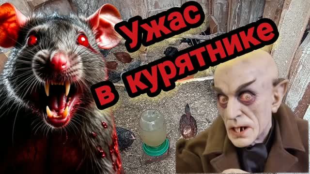 17.06.2026 Ужас в курятнике.