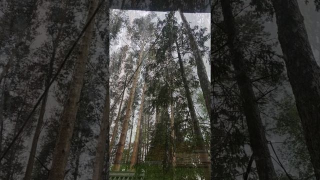 моими глазами.mp4 смотреть онлайн