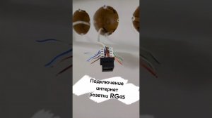 Подключение интернет розетки RG45