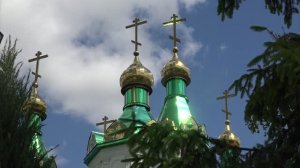 Новости Старого Оскола от 17 июня