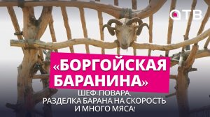 Шеф-повара, разделка барана на скорость и много мяса! Анонс фестиваля «Боргойская баранина»