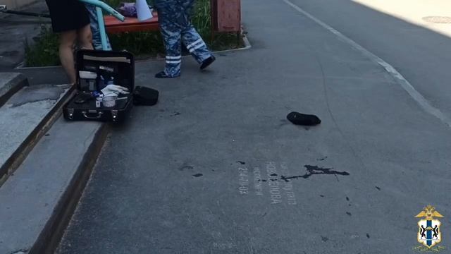 Новосибирец на глазах у полицейских попытался зарезать девушку — по преступнику открыли огонь. смотреть онлайн