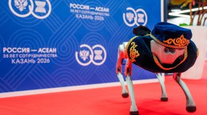 Робот в тюбетейке и татарские сладости. Чем удивляет Казань участников саммита Россия — АСЕАН?