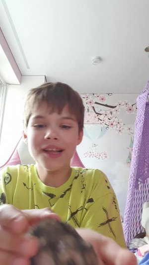 показываю хомека