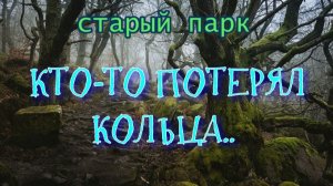 СТАРЫЙ ПАРК «КТО-ТО ПОТЕРЯЛ КОЛЬЦА»
