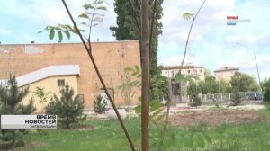 Новую жизнь подарили Дворцу творчества детей и молодёжи на юге Волгограда, работа будет продолжена