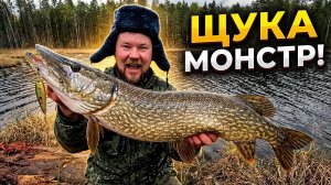 Трофейная щука против снастей профессионала. Рыбалка на микро озере. Поклёвка сезона снята на видео