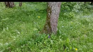 Доброе Утро с Валентиной