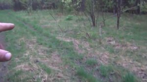 охота и рыбалка