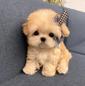 всех с прошедшим днем лета