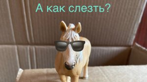 топ странных лайфхаков для лошадей🕶️