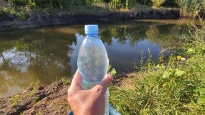 Очистка воды в пруду, бассейне перекисью водорода. Садовый пруд на участке даче своими руками.