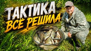 Фидерная рыбалка в верховьях Дона: подобрал тактику  и результат порадовал!