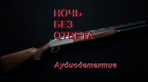 Аудиокнига «Ночь без ответа»