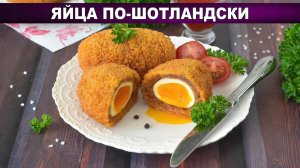 Яйцо по-шотландски: ресторанный хит у вас дома!