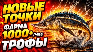 🤑 НОВЫЕ ТОЧКИ для ФАРМА РР4! МЕДНОЕ • ЛАДОЖСКОЕ • АХТУБА! Фарм Серебра в Русской Рыбалке 4