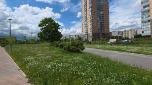 Международная в Санкт-Петербурге. Парк Дружбы. Спальный район
