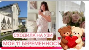 Будни многодеточки Сделали УЗИ 11 беременность