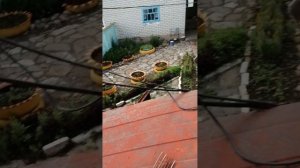 VID_20260615_175344.mp4