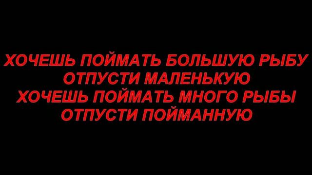 Вот это Я половил щуку.