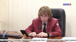 534 укуса, каждый второй заражён и вакцинация как спасение: сезон клещей в Серове набирает обороты