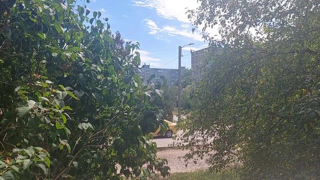 Воскресенье погода 25 и 