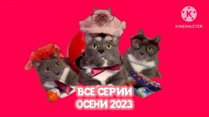 Котики в магазине - все серии осени 2023