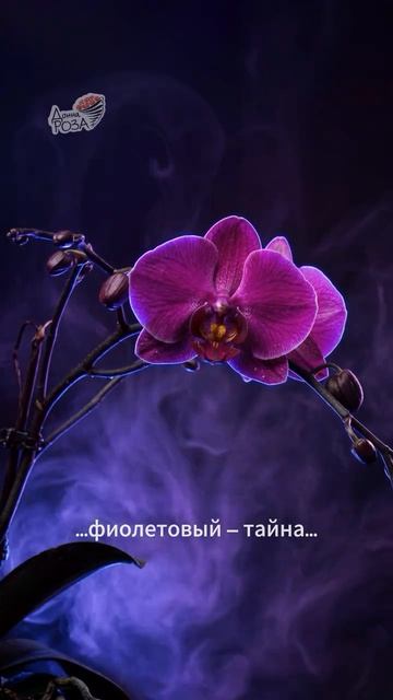 Отправьте это видео тому, от кого ждете идеальный букет 🤫✨