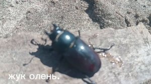 ПРОСТО ОТЛИЧНАЯ МУЗЫКА. КРАСИВАЯ ПРИРОДА.     ЧТО ЕЩЁ НАДО ДЛЯ ХОРОШЕГО НАСТРОЕНИЯ. ⛵🛶