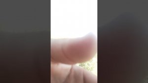 Nargiza jalabni koʻriglar Zapal Запал видео ОБУНА БОЛИНГ 👇