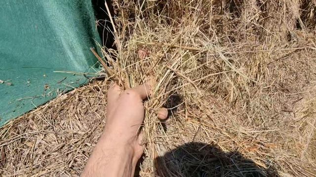 Видео от Армана! Укрытые скирды сена укрывными пологами-тентами шутц-флис от Лелаф