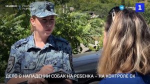 Дело о нападении собак на ребенка – на контроле СК