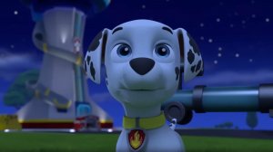 Щенячий патруль. Миссии щенков. Paw Patrol миссии. Щенячий патруль транспорт. Часть 45