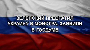 Зеленский превратил Украину в монстра, заявили в Госдуме