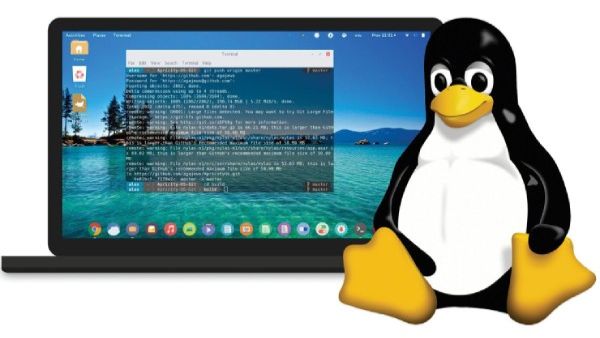 Обзор страницы курса - Администрирование Linux. смотреть онлайн