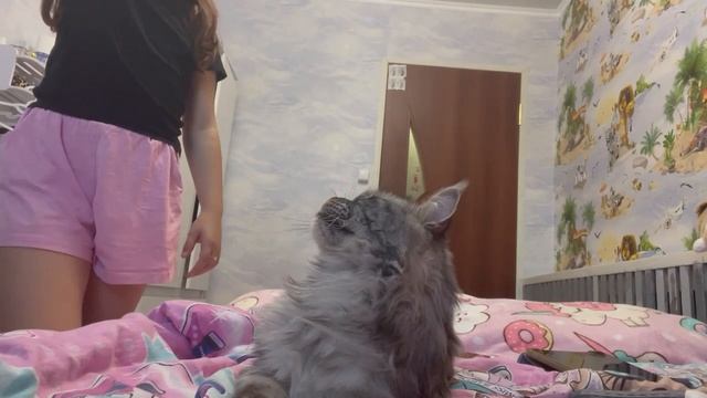 3177.mp4 смотреть онлайн