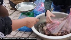 🎣Традиционная рыбалка: как мы ставим восьмиугольные ловушки, собираем и продаём рыбу Полный процесс
