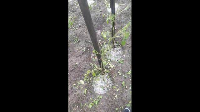 Град в Абакане смотреть онлайн