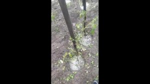 Град в Абакане