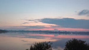 Утренние голоса птиц