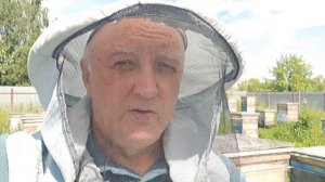 Стратегия и тактика в пчеловодстве
