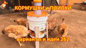 Кормушки и поилки для кур своими руками 262 🪚✂️ Пошаговая инструкция как сделать 🐔 🐓❣️
