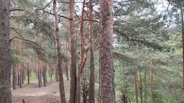 Причины увольнения учителей при высокой оплате труда (продолжение) смотреть онлайн