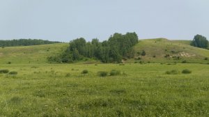 Вечерняя прогулка с собакой